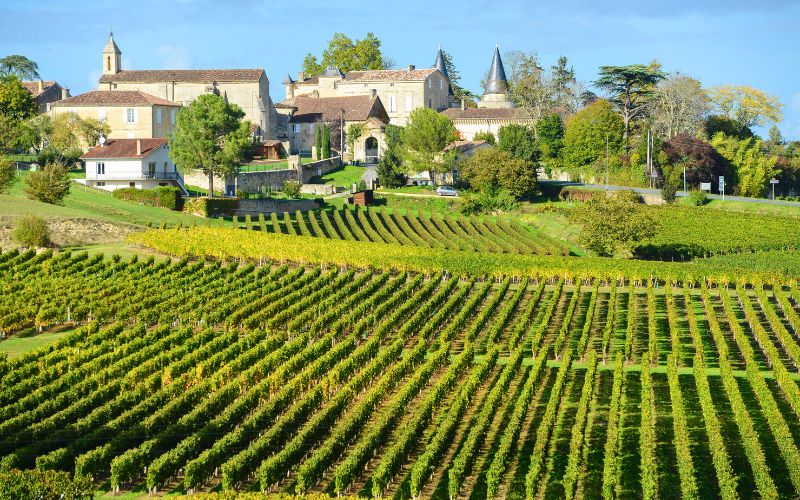 Vinícolas em Bordeaux, na França